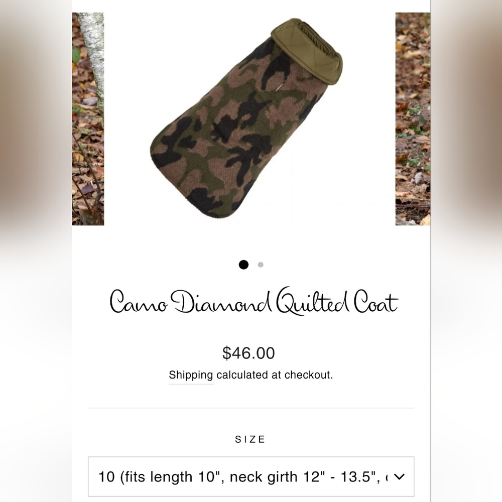 Dog coat